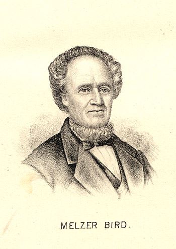 Melzer Bird